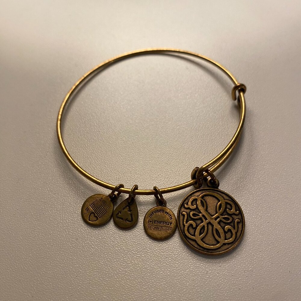 Alex and Ani Charm Bracelet